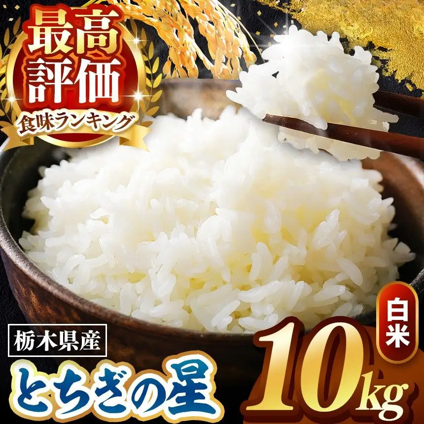 令和8年度産 先行予約 とちぎの星 白米 10kg