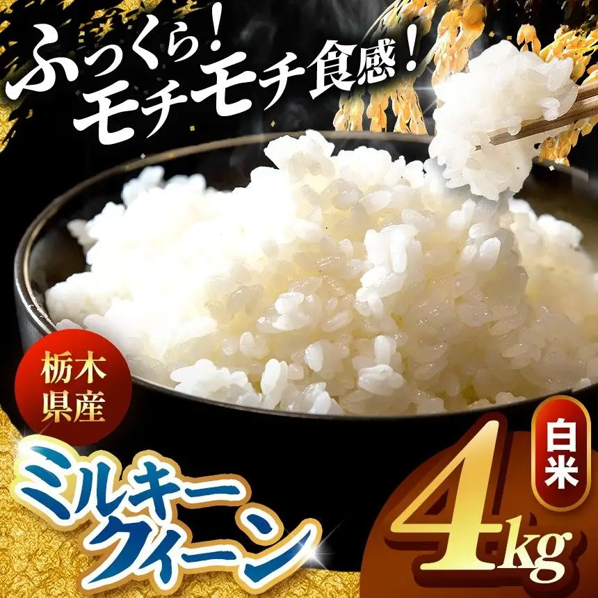 令和8年度産 先行予約 ミルキークイーン 白米 4kg