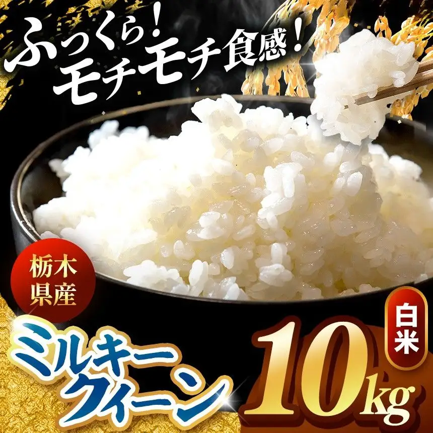令和8年度産 先行予約 ミルキークイーン 白米 10kg