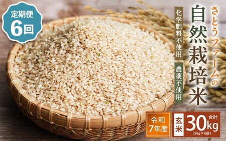 【6ヵ月定期便】さとうファームの自然栽培米（玄米5kg）ふっくら つやつや おいしい 美味しい 贈り物 単一原料米