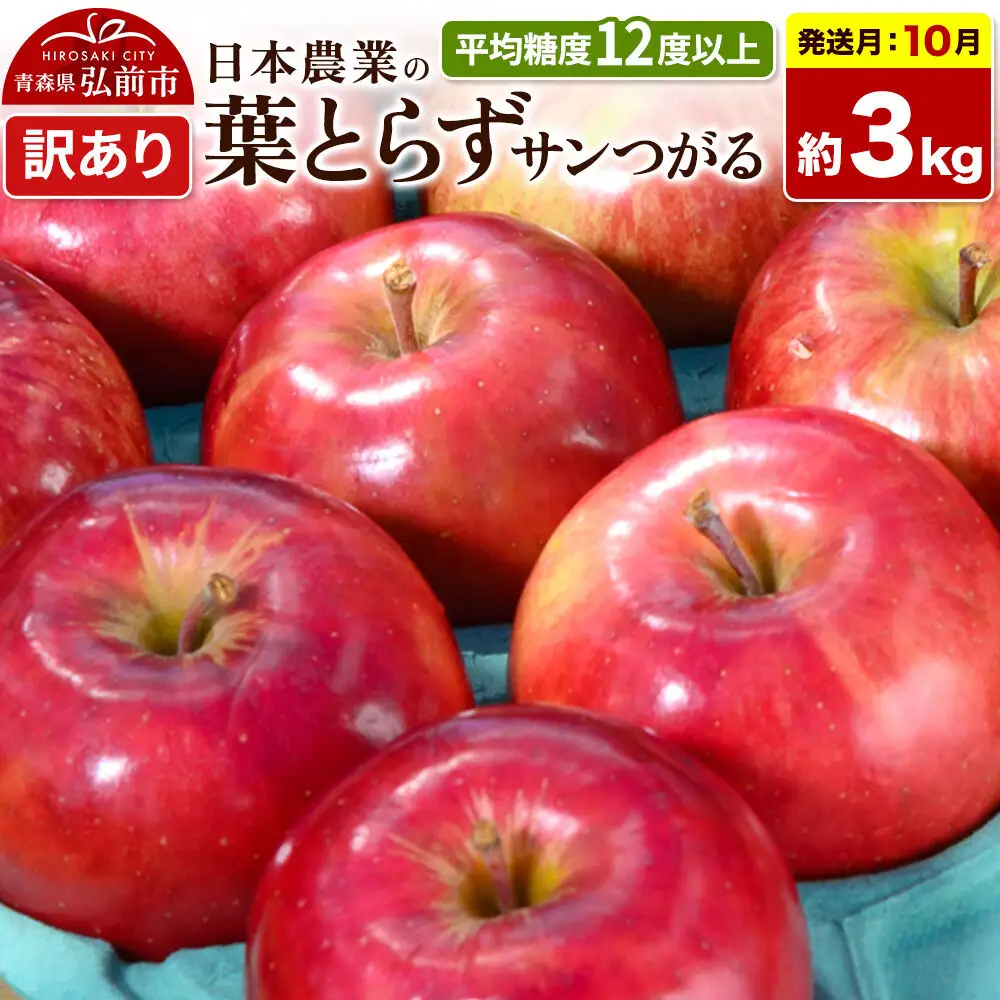 【26年10月発送】りんご 葉とらずサンつがる【訳あり】約3kg 平均糖度12度以上 青森県産 果物 フルーツ 林檎 リンゴ くだもの 不揃い 規格外