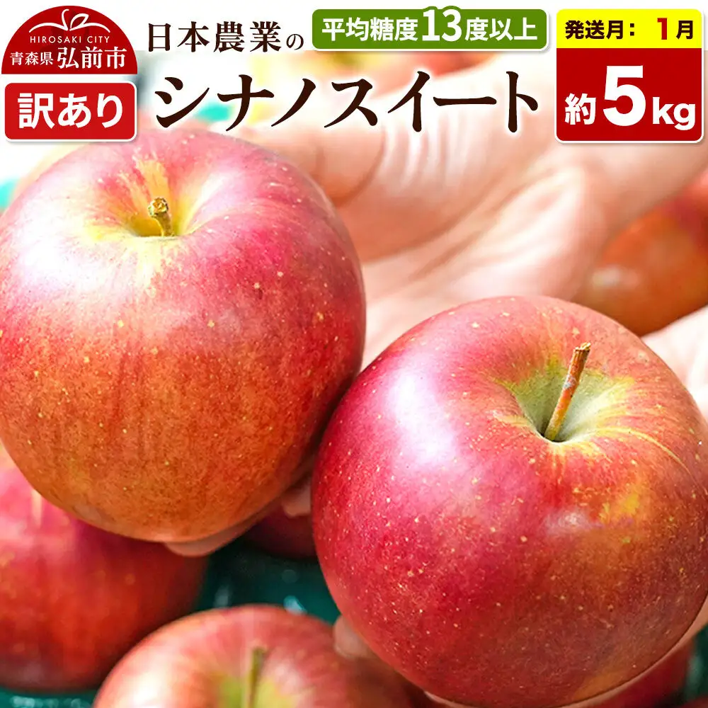 【27年1月発送】りんご シナノスイート【訳あり】約5kg 平均糖度13度以上 青森県 弘前市 果物 フルーツ 林檎 リンゴ くだもの 不揃い 規格外