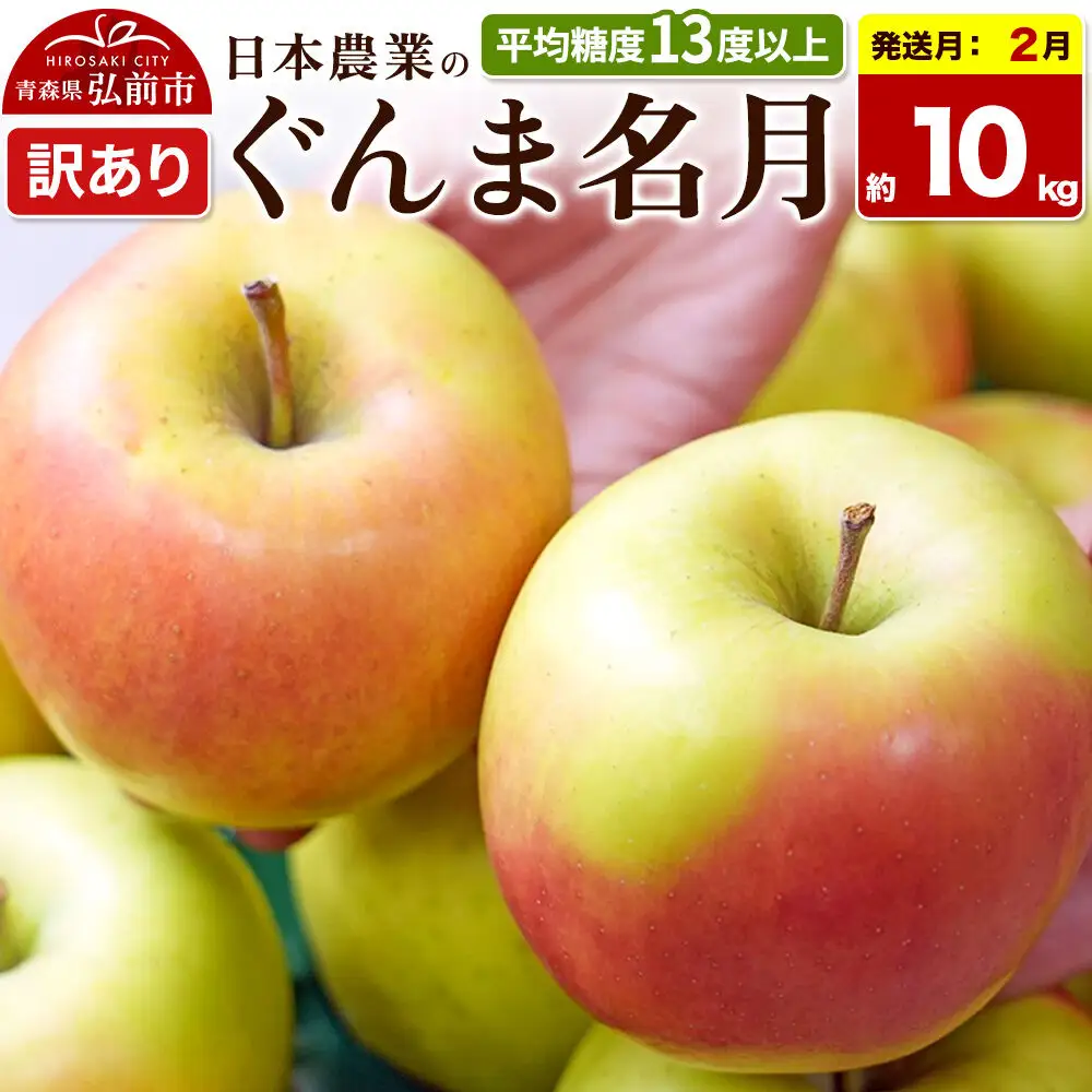 【27年2月発送】りんご ぐんま名月【訳あり】約10kg 平均糖度13度以上 青森県 弘前市 果物 フルーツ 林檎 リンゴ くだもの 不揃い 規格外