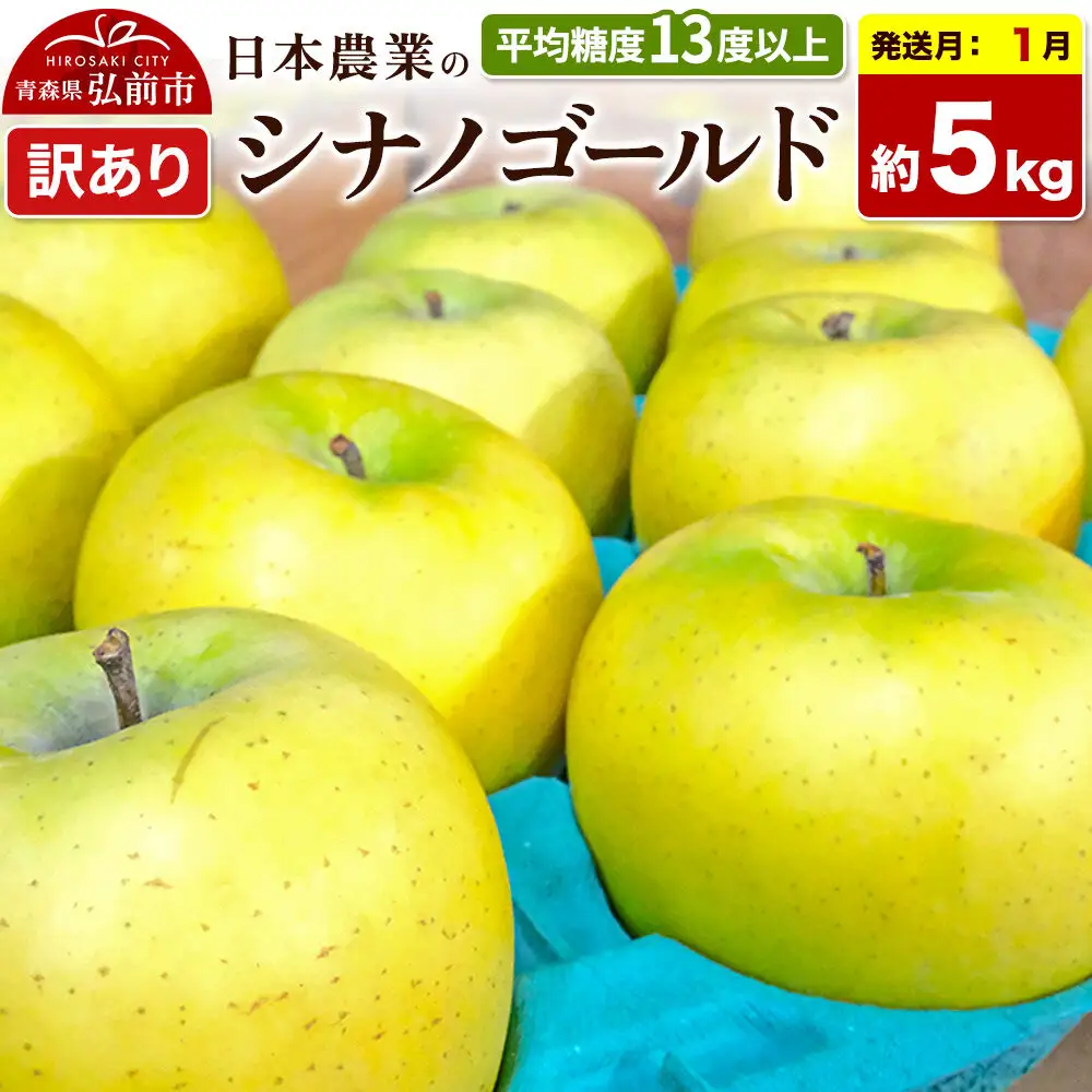 【27年1月発送】りんご シナノゴールド【訳あり】約5kg 平均糖度13度以上 青森県 弘前市 果物 フルーツ 林檎 リンゴ くだもの 不揃い 規格外