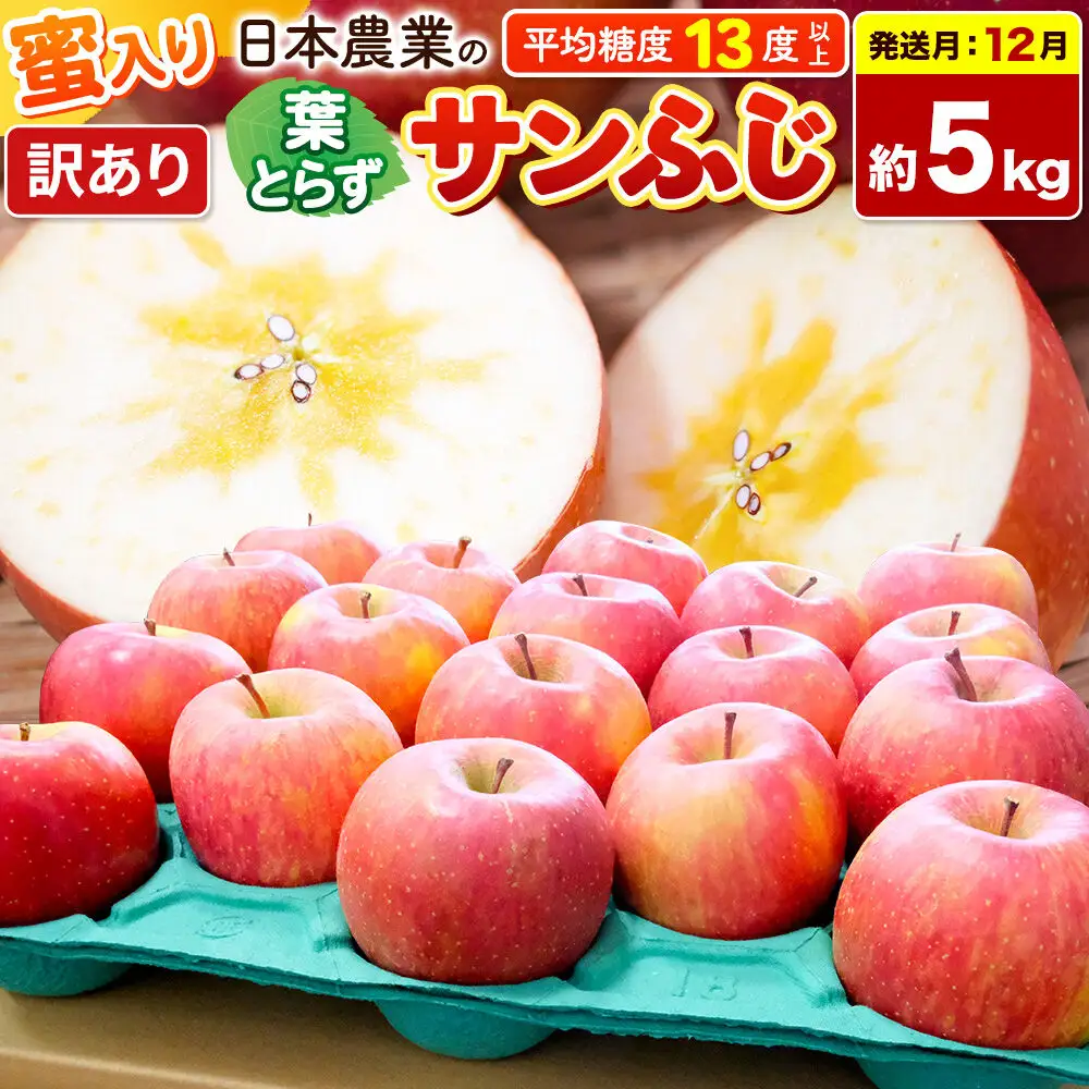 りんご 葉とらずサンふじ 訳あり 約5kg【12月発送】りんご