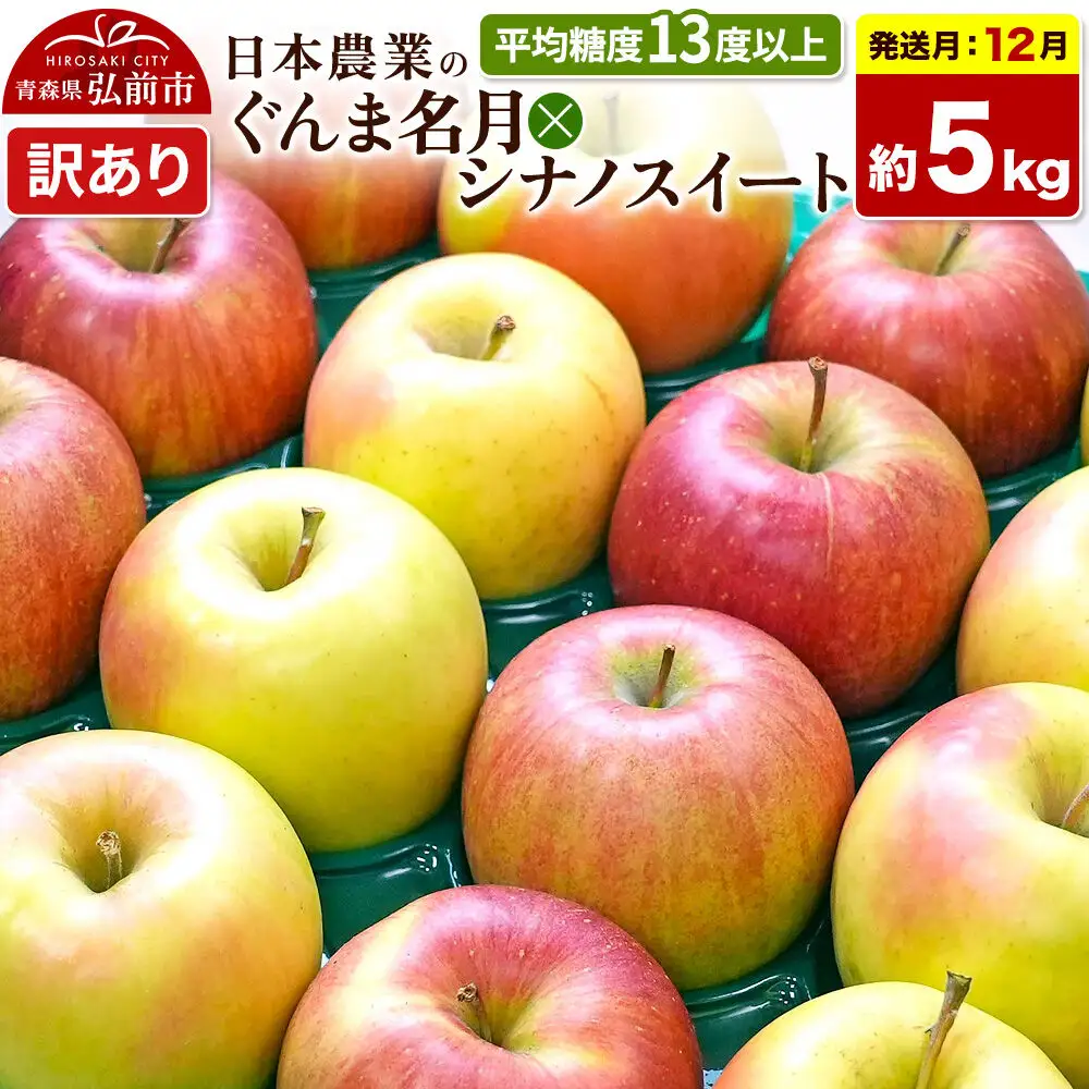 【26年12月発送】りんご ぐんま名月×シナノスイート【訳あり】約5kg 平均糖度13度以上 青森県 弘前市 果物 フルーツ 林檎 リンゴ くだもの 不揃い 規格外