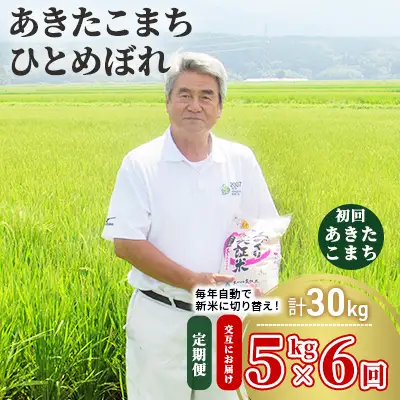 先行予約 白米 定期便 6ヵ月【交互に配送/初回あきたこまち】あきたこまち ひとめぼれ 5kg 令和8年産