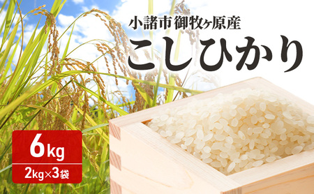 こしひかり  御牧ヶ原産 精米 6kg（2kg×3袋） こしひかり