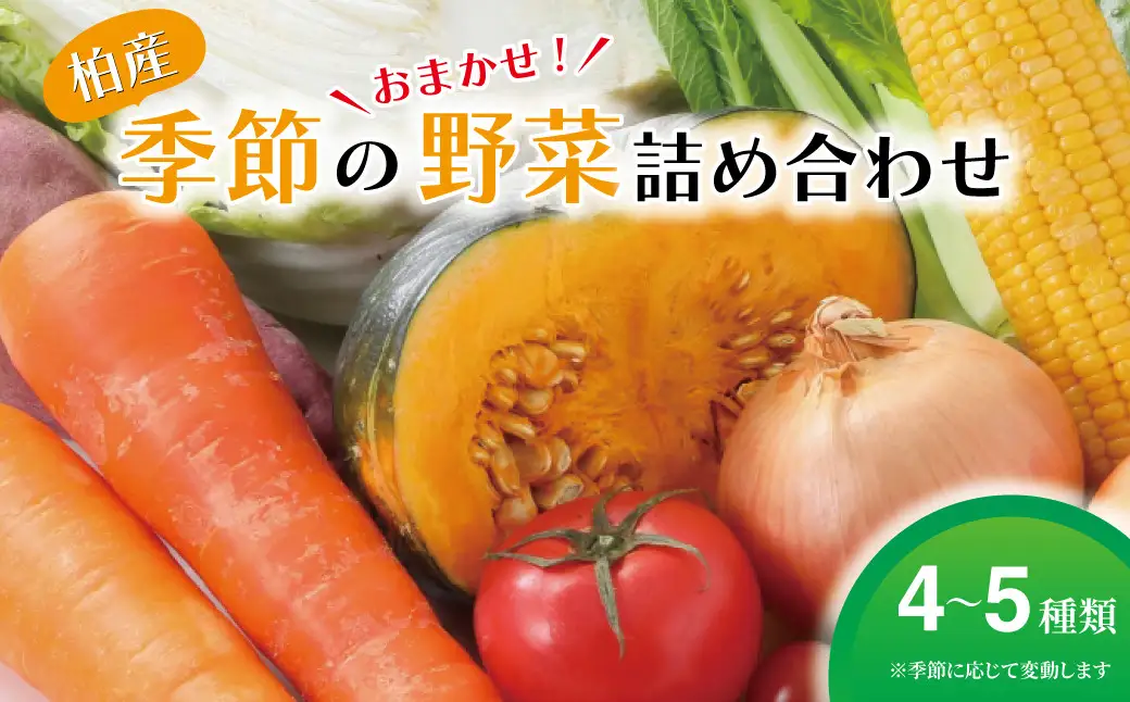 野菜詰合せ 季節 千葉県産 おまかせ 野菜詰合せ