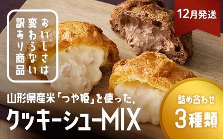 ≪2026年12月発送≫ 訳あり クッキーシュークリーム 3種詰合せ(カスタード、カカオ、アップル) 20個 ご家庭用 お菓子 洋菓子 小分け スイーツ F2Y-6416
