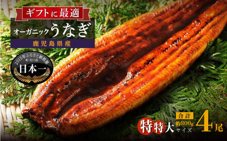 泰正オーガニックうなぎ蒲焼　特特大4尾合計800g以上