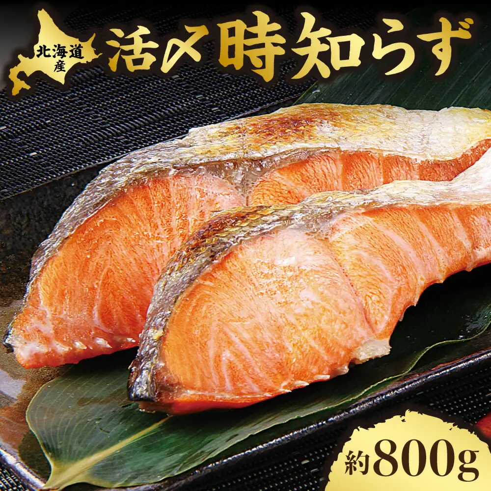 活〆 時知らず 天然 鮭切身 中塩仕込 10切(2切160g×5パック) 800g  知床斜里産