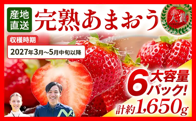 いちご あまおう 約275g×6P R9年3月～5月中旬順次発送 いちご