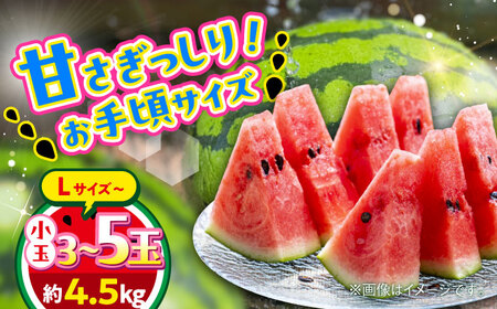 【2026年 先行予約】【数量限定】小玉すいか L以上 3?5玉入り 約4.5kg【日本フルーツ株式会社】[AYDA010]