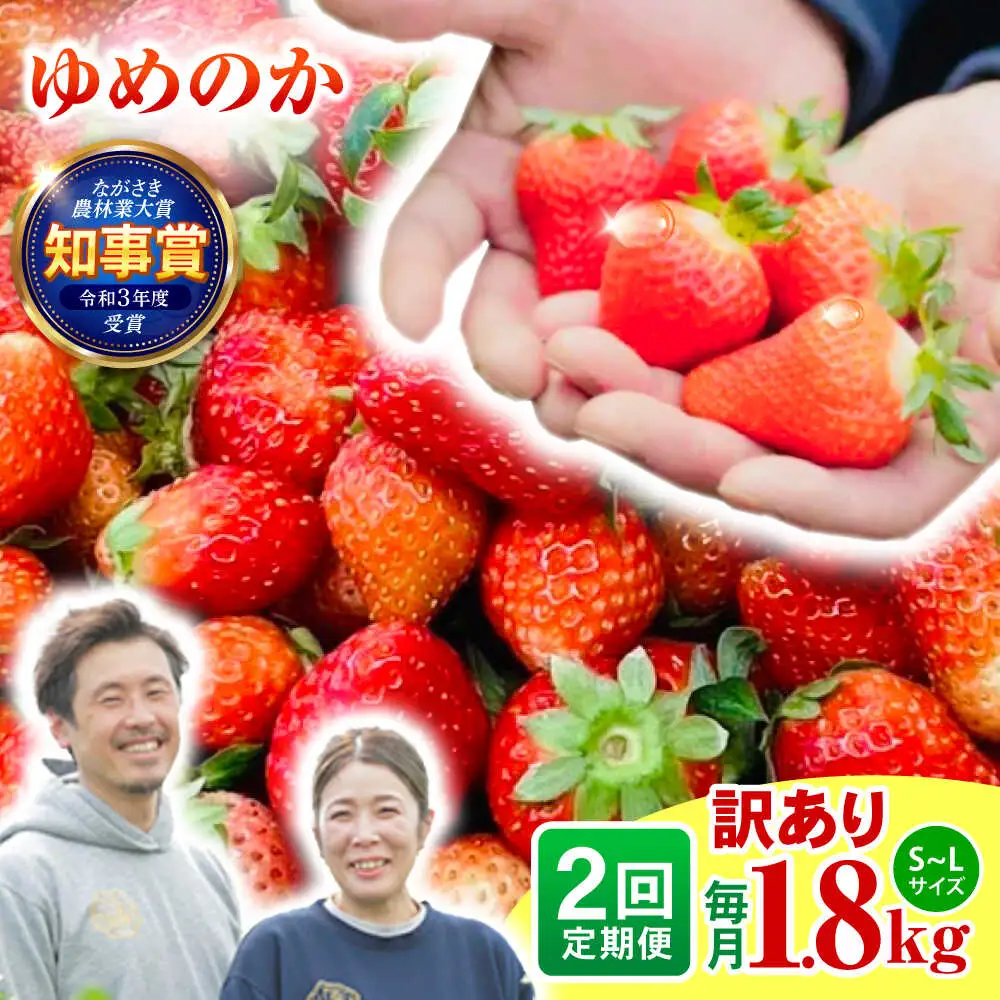 【2回定期便】※【2027年3月上旬頃より順次発送／先行予約】訳あり いちご「ゆめのか」 S-Lサイズ 1.8kg / 訳あり 訳あり商品 訳あり果物 果物訳あり いちご イチゴ 苺 イチゴジャム / 諫早市 / むらたサービス[AHFA004]
