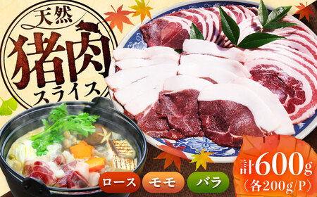 天然いのしし肉スライス 600g / 佐賀県 / ジビエ唐津 [41ABAG004]
