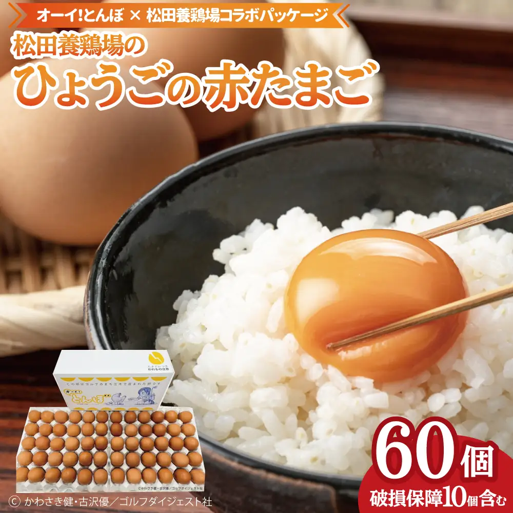 【オーイ！とんぼ×松田養鶏場コラボパッケージ】産地直送  松田養鶏場のひょうごの赤たまご60個（50個+割れ補償10個）【北海道・沖縄・離島 配送不可】