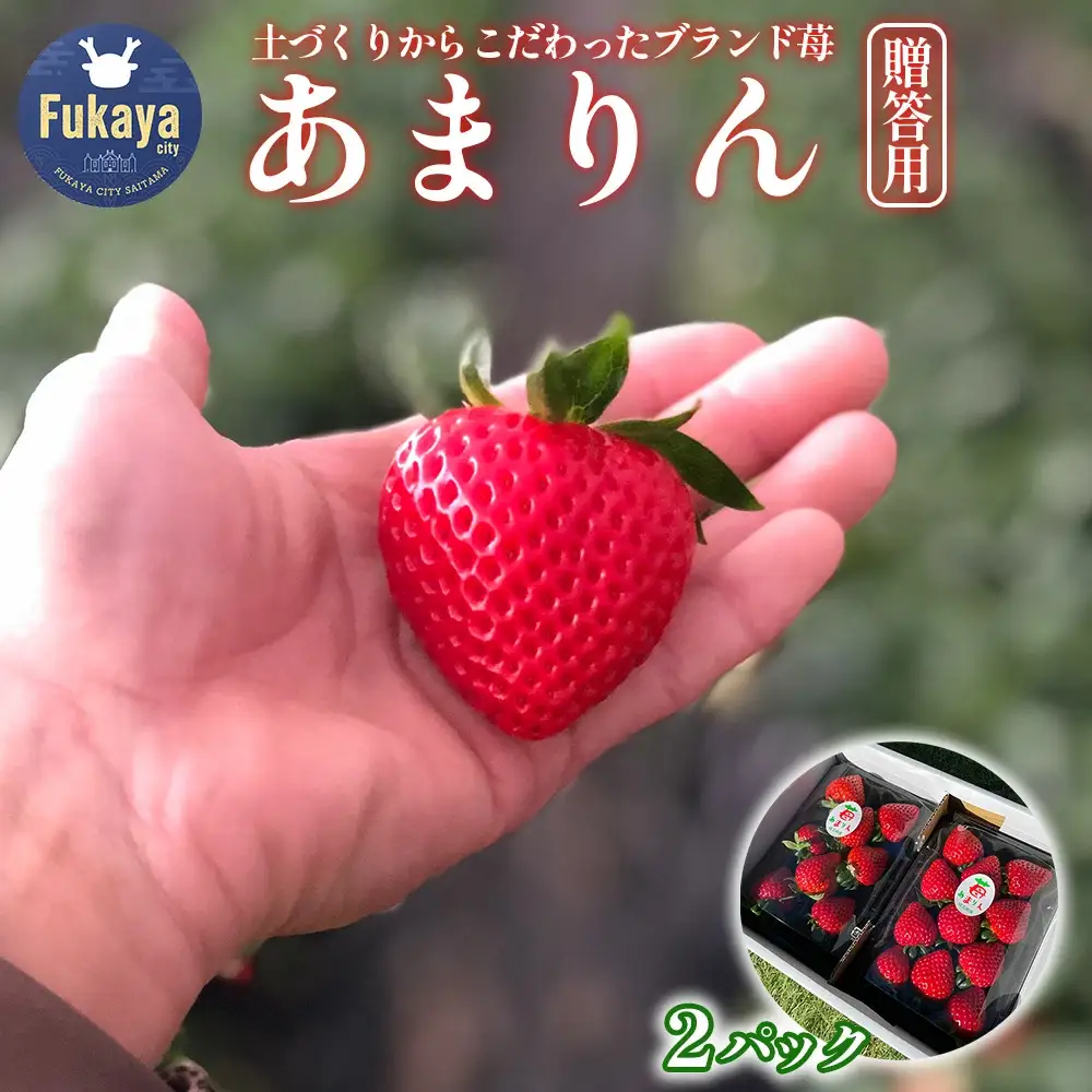 ＜先行予約＞埼玉県産　贈答用　あまりん（2パック入り）【11218-0871】　木口農園