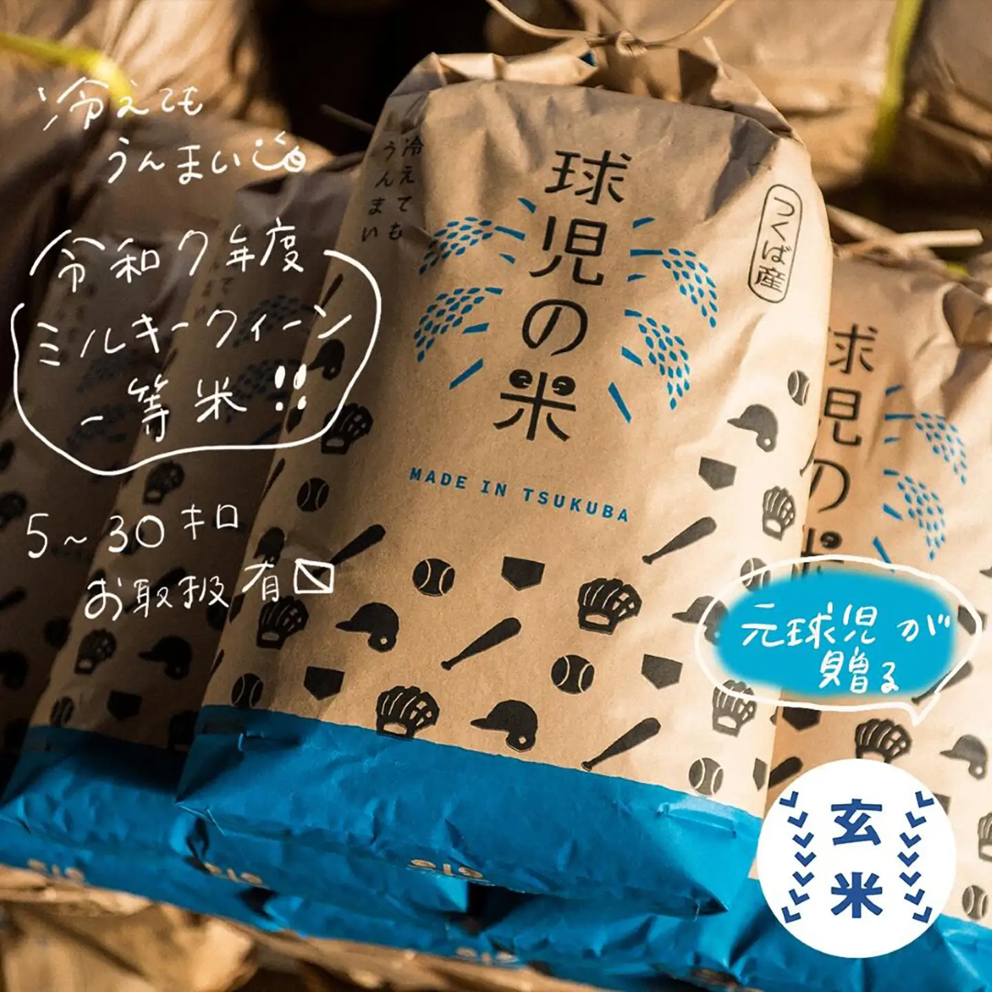 【玄米】令和7年産 ミルキークイーン玄米 30kg 米