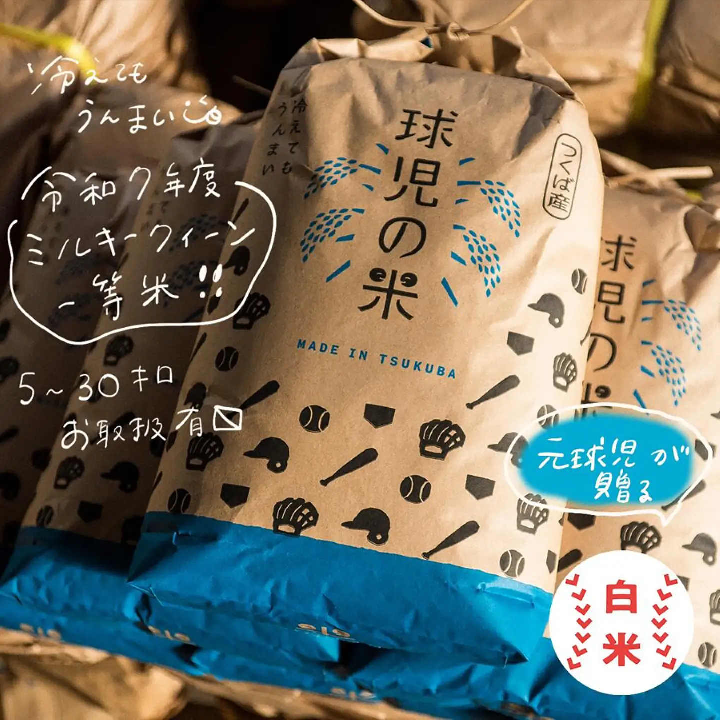 令和7年産 ミルキークイーン 精米 20kg 米 ミルキークイーン