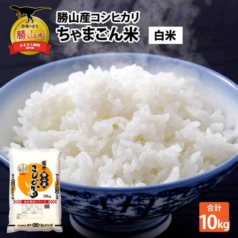 米 コシヒカリ 勝山産 ちゃまごん米 10kg 精米 [C-010018]