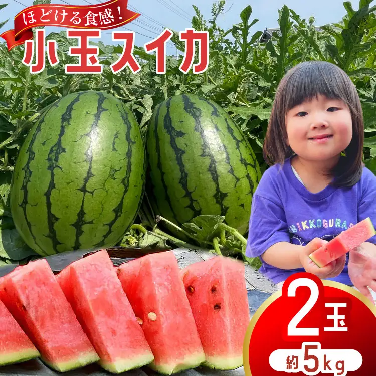 BJ461 【令和9年度出荷分】 Farm honda 小玉スイカ 2玉 計5kg