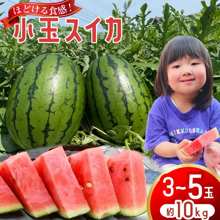 BJ462 【令和9年度出荷分】 Farm honda 小玉スイカ 3～5玉 約10kg