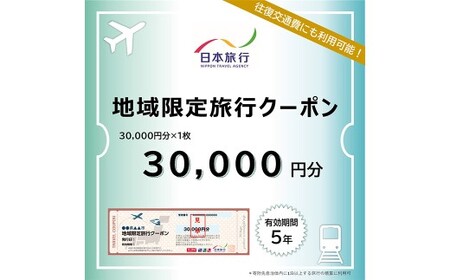 福岡県柳川市 日本旅行 地域限定旅行クーポン30,000円分（30,000円分×1枚）旅行クーポン 旅行 観光 クーポン 家族旅行 柳川市