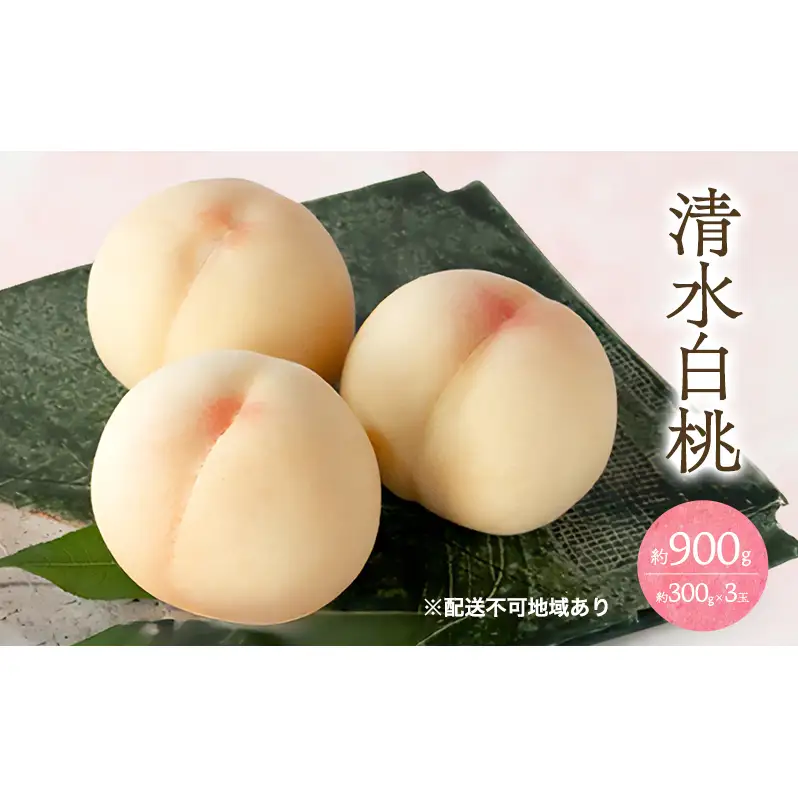 桃 2026年 先行予約 清水 白桃 3玉 合計約900g （1玉約300g） もも モモ 岡山 国産 フルーツ 果物 ギフト 桃茂実苑