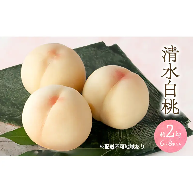桃 2026年 先行予約 清水 白桃 2kg 6～8玉 もも モモ 岡山 国産 フルーツ 果物 ギフト 桃茂実苑