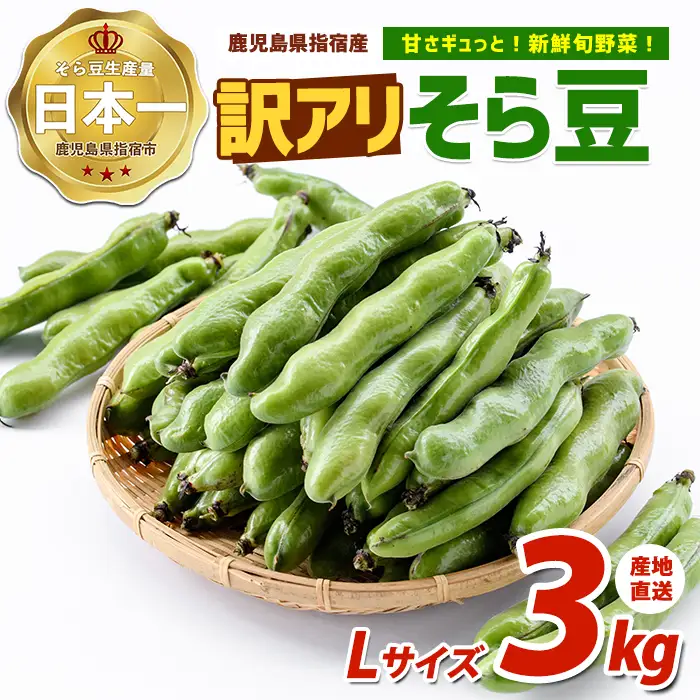 2027年3月上旬以降発送 訳アリ・ご家庭用 そら豆Lサイズ 約3kg IB092-006
