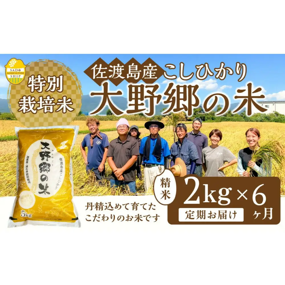 【令和7年産】佐渡島産 特別栽培米こしひかり「大野郷の米」精米2kg×6回 定期お届けコース