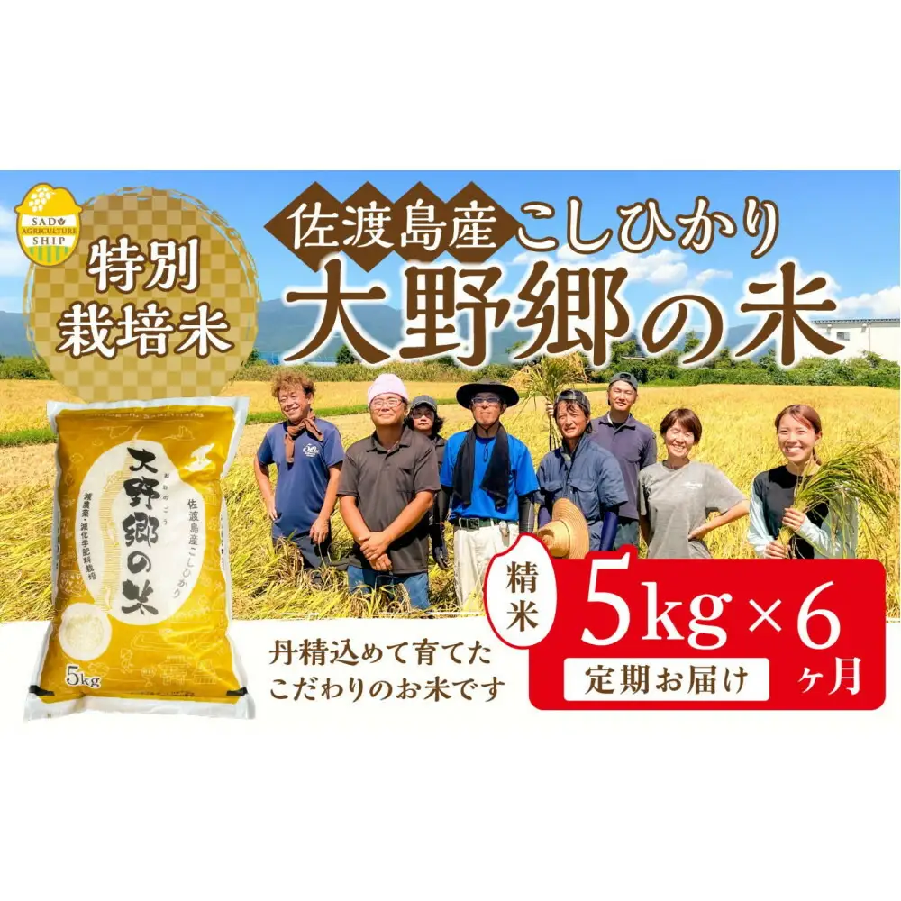 【令和7年産】佐渡島産 特別栽培米こしひかり「大野郷の米」精米5kg×6回 定期お届けコース