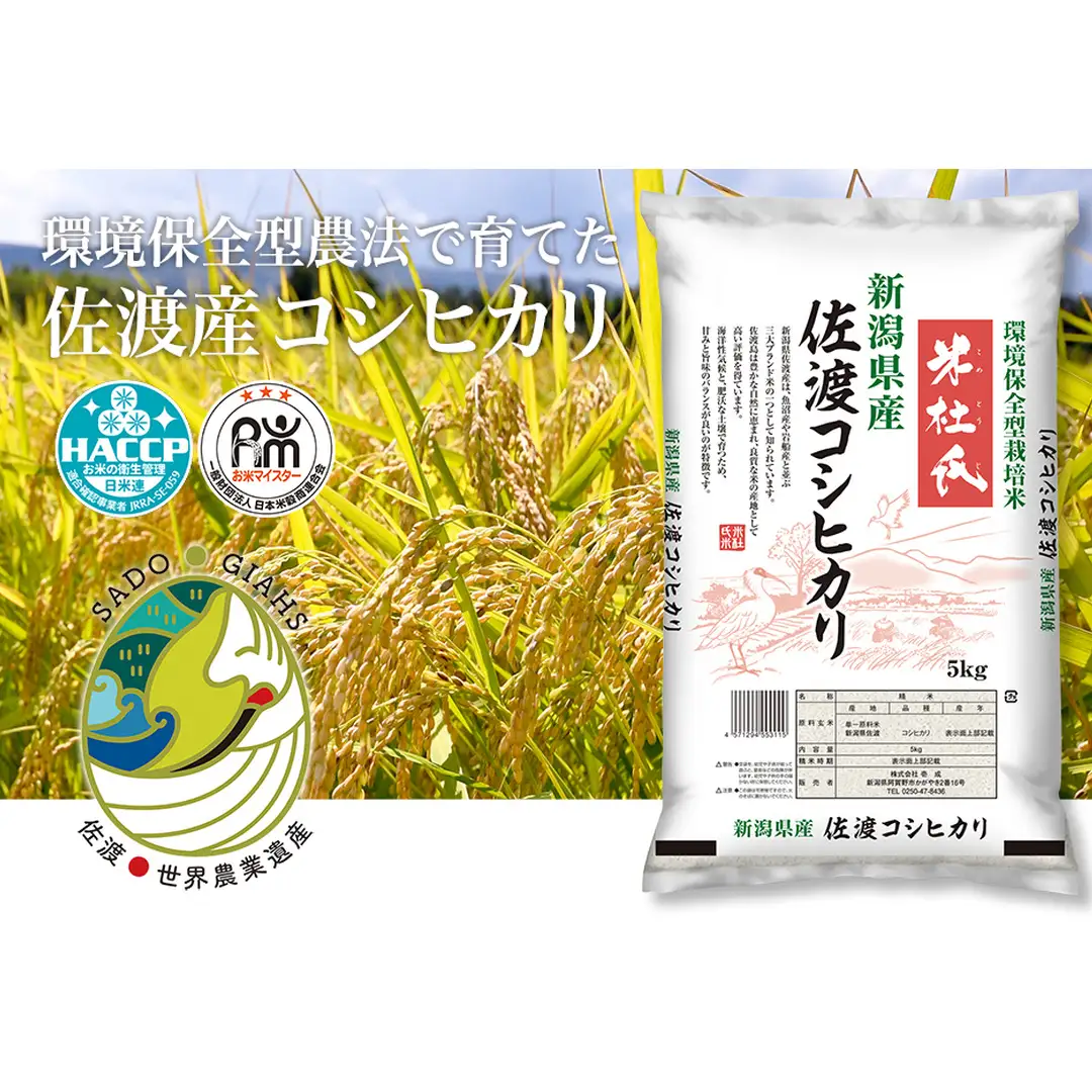 米 コシヒカリ 佐渡産 ( 5kg ) 米杜氏【令和7年米】
