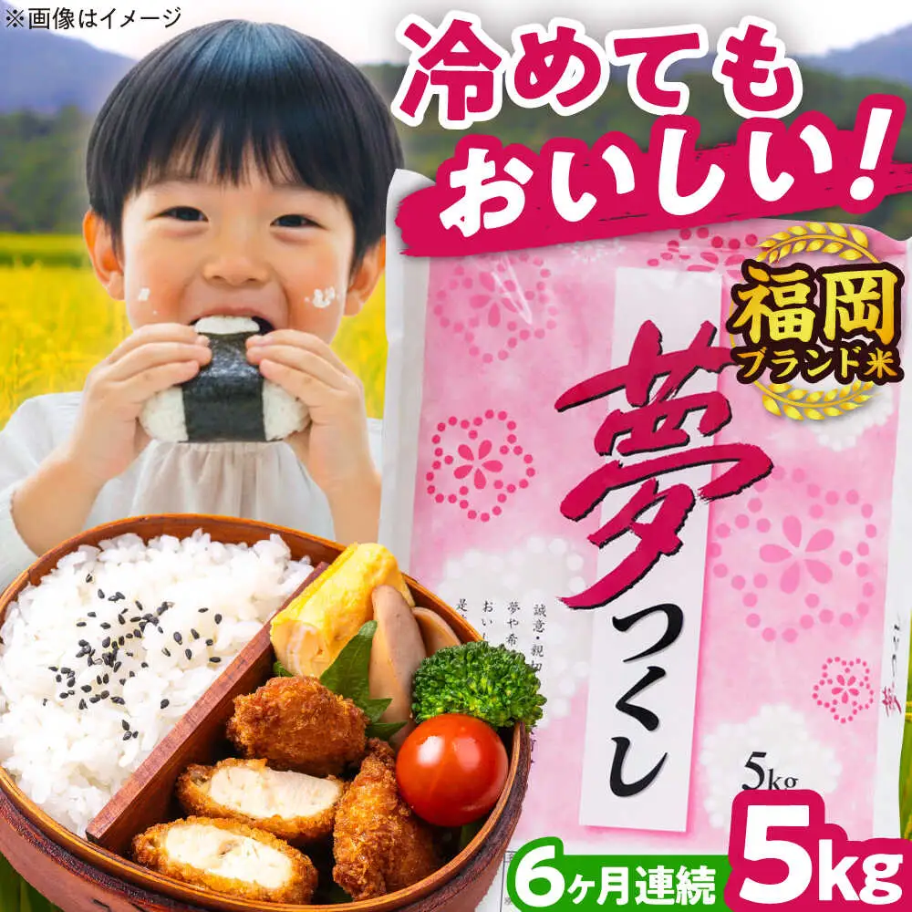 【全6回定期便】【令和7年度産】夢つくし 5kg 精米 有限会社ファインリョーコク/吉富町[BGBV003]