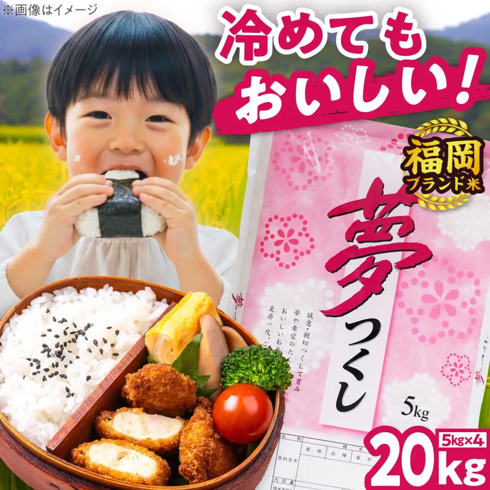【令和7年度産】夢つくし 20kg 精米 有限会社ファインリョーコク/吉富町[BGBV007]