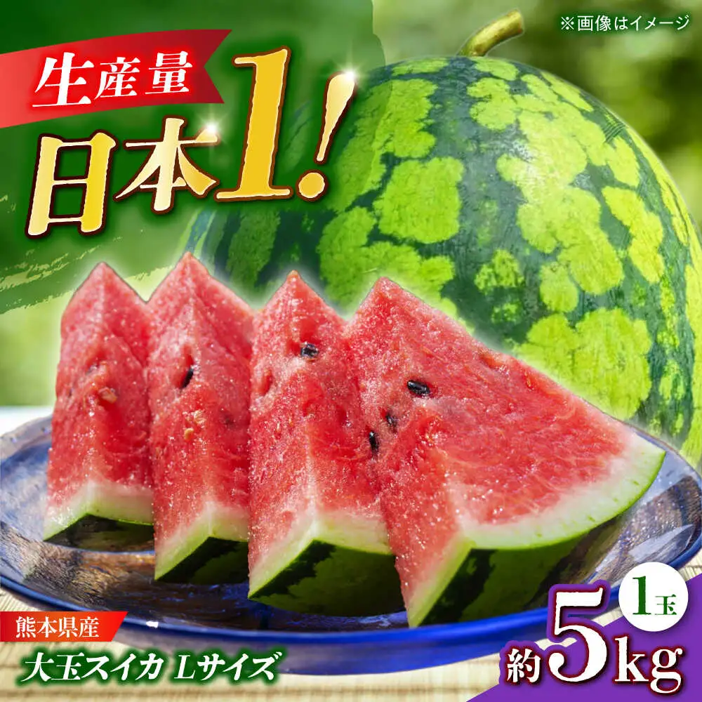 【先行予約】 大玉スイカ Lサイズ 1玉入り 約5kg すいか 大玉 熊本 フルーツ 野菜 果物 【日本フルーツ株式会社】[ZFJ045]