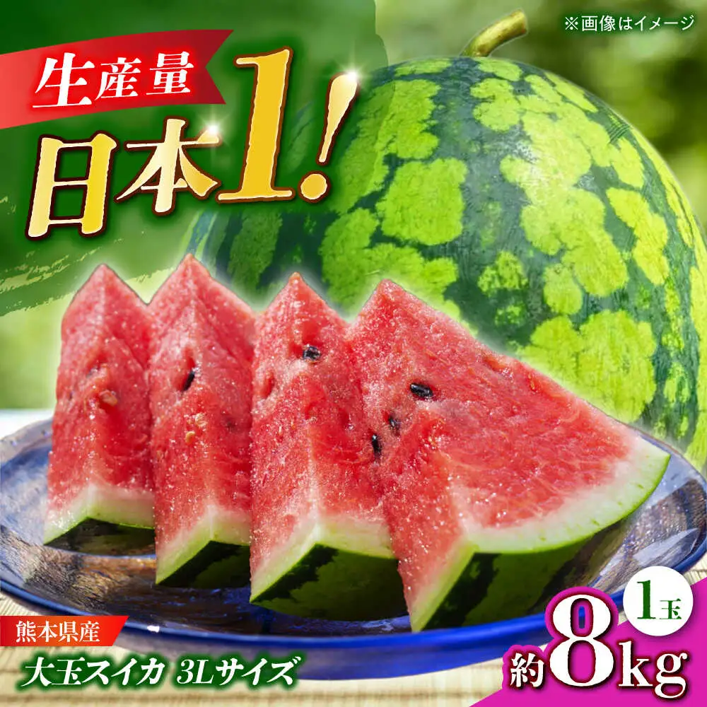 【先行予約】 大玉スイカ 3Lサイズ 1玉入り 約8kg すいか 大玉 熊本 フルーツ 野菜 果物 【日本フルーツ株式会社】[ZFJ047]