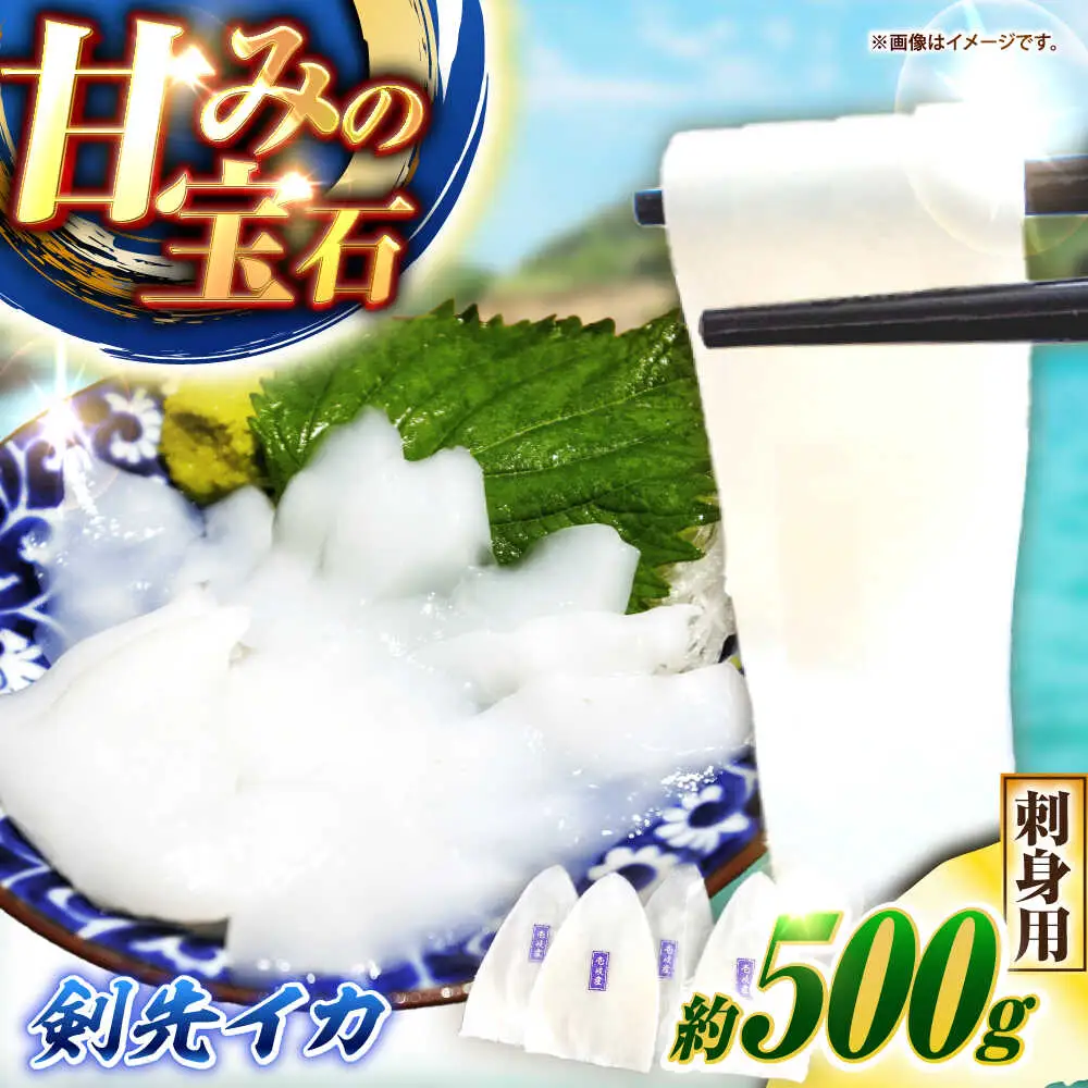 【お中元】剣先イカ 刺身用 500g [JCC024] イカ刺し