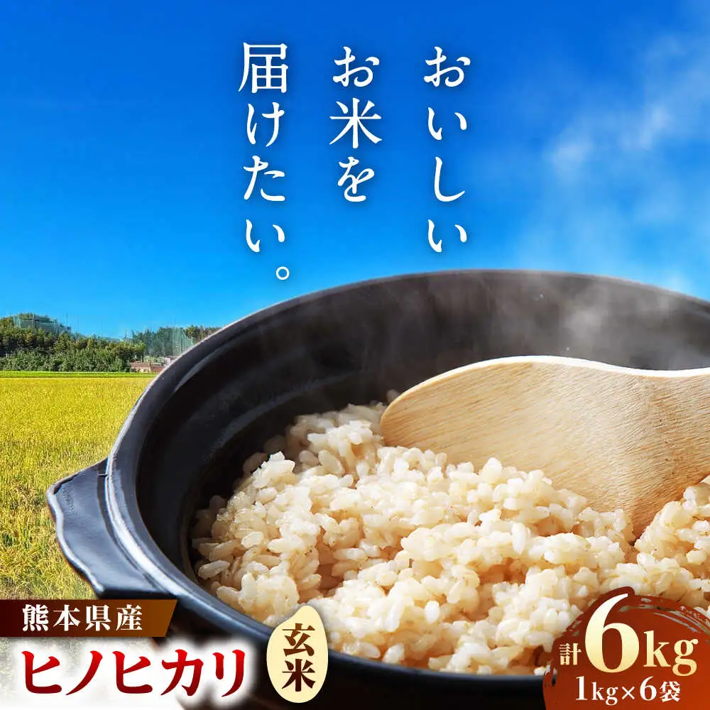  ヒノヒカリ　玄米6kg（1kg×6袋） 【株式会社　岩下農園】[ZFS004]
