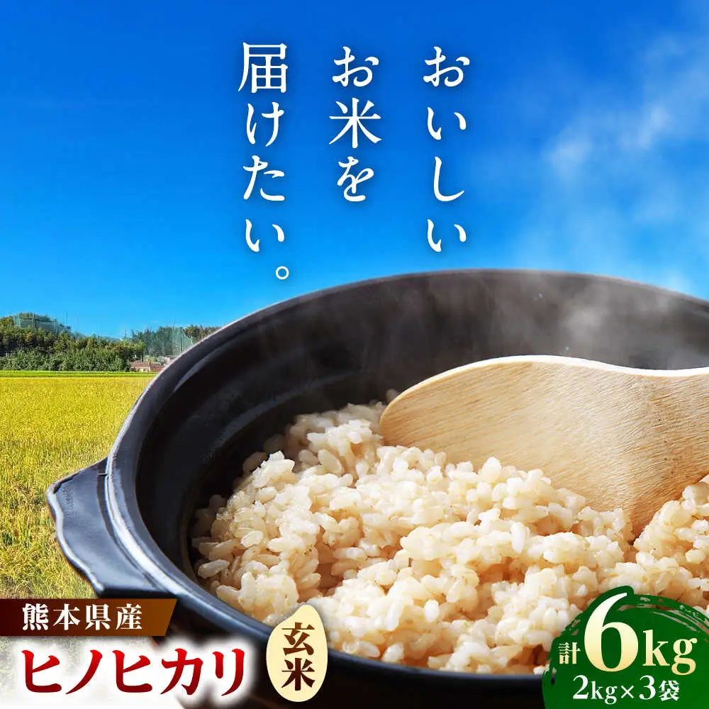  ヒノヒカリ 玄米 6kg（2kg×3袋） 【株式会社 岩下農園】[ZFS005]