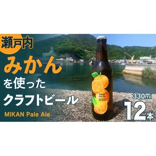 クラフトビール みかんペールエール 330ml × 12本セット