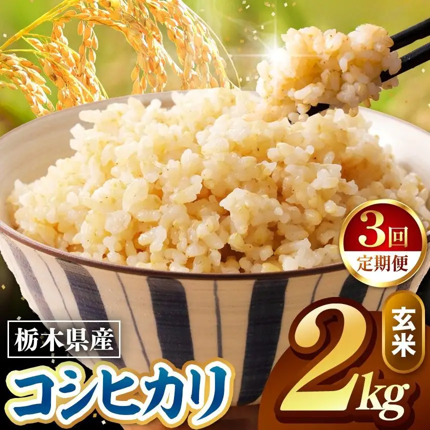 令和8年度産 先行予約 【定期便3回】こしひかり 玄米 約2kg
