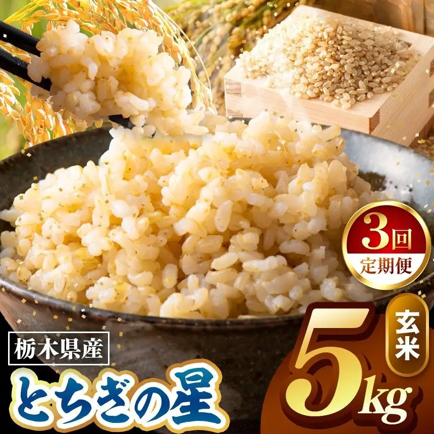 令和8年度産 先行予約 【定期便3回】とちぎの星 玄米 約5kg