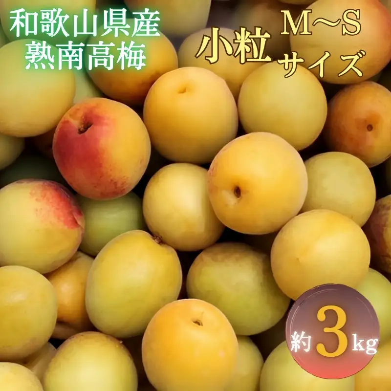 【先行予約】和歌山県産 紀州熟南高梅 生うめ 約3kg (S・Mサイズ混合) 訳あり ご家庭用 青梅 黄梅 梅干し 梅酒 シロップ ジャム用 2027年6月下旬〜7月上旬発送【art043】