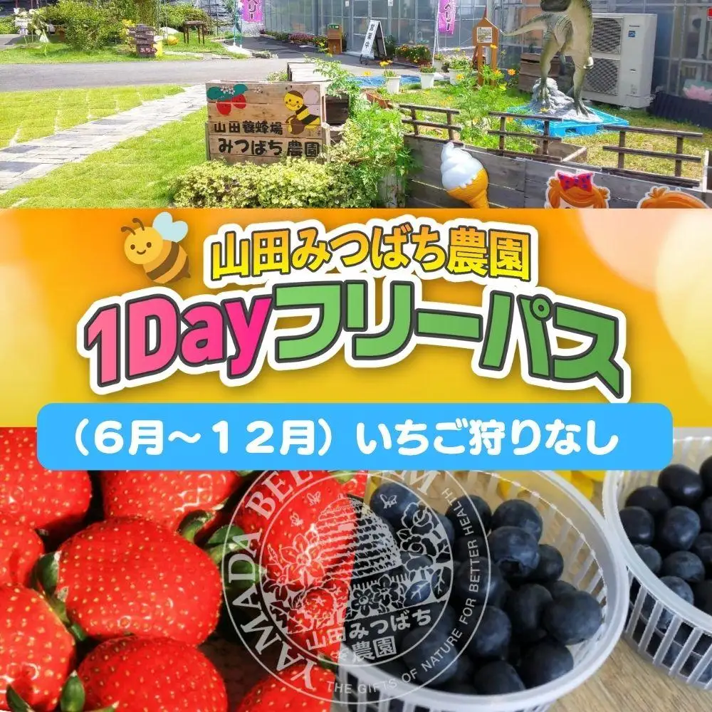 ［山田みつばち農園］1Dayフリーパス（6月～12月）※いちご狩りなし 049-a003