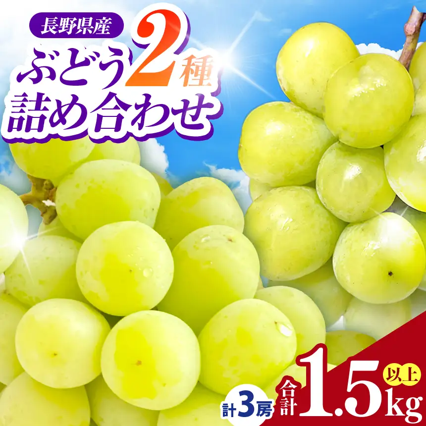 【2026年先行予約】信州伊那産ぶどう２種詰合せセット（約1.5kg）シャインマスカット 雄宝 【018-31】