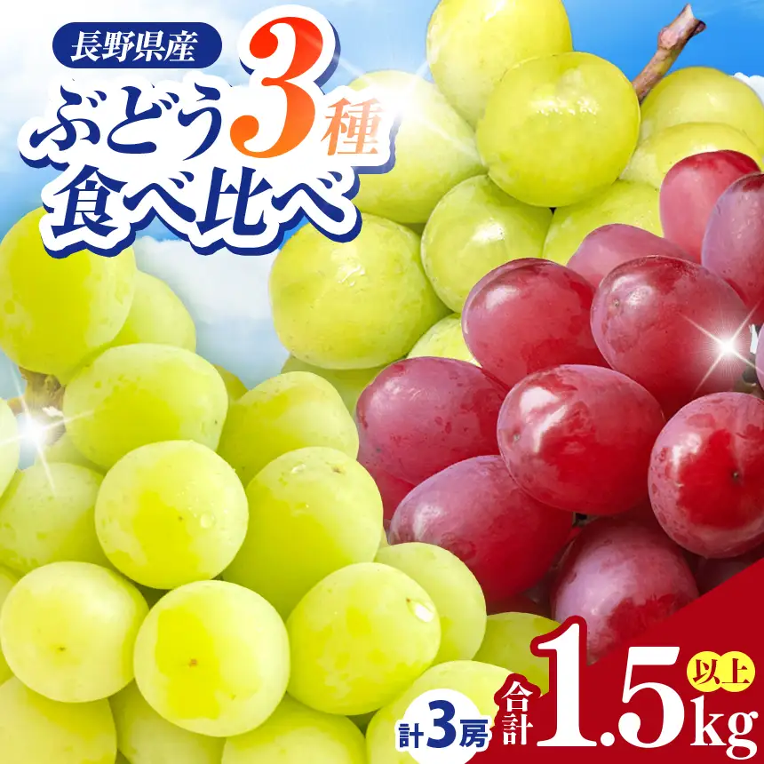 【2026年先行予約】信州伊那産ぶどう３種食べ比べセット（約1.5kg）シャインマスカット クイーンルージュ(R) 雄宝 【021-52】