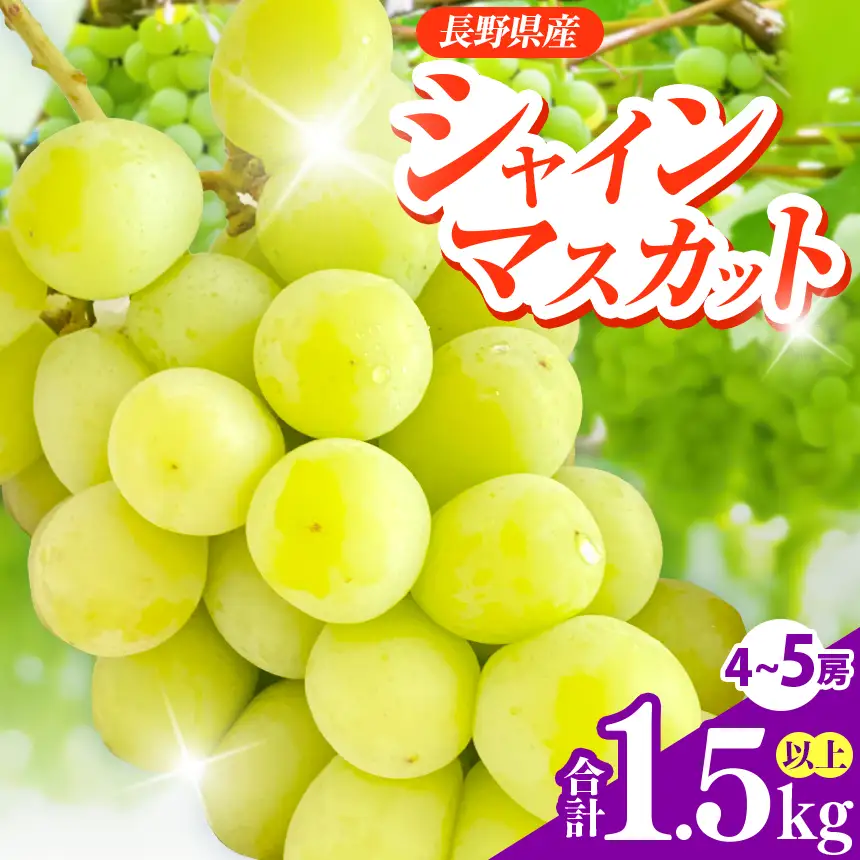 信州伊那産ぶどう　シャインマスカット（1.5kg）｜ぶどう 葡萄 シャインマスカット 種なし ぶどうフルーツ ギフト フルーツ 旬のフルーツ 伊那市 長野県産 【015-42】