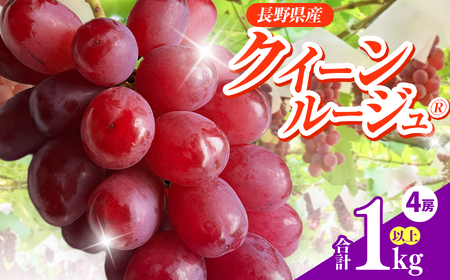 信州伊那産ぶどう　クイーンルージュ(R) (1.0kg以上)｜ぶどう 葡萄 クイーンルージュ 種なし ぶどう高級 フルーツ ギフト フルーツ 旬のフルーツ 伊那市 長野県産 【014-49】